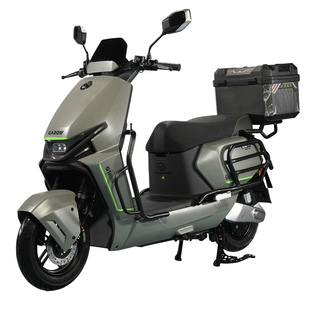 正品金箭快闪PLUS电动摩托车大功率39Ah电摩机甲通勤长续航电动车
