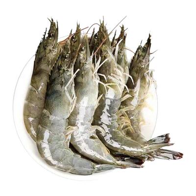 青岛大虾鲜活超大基围虾冷冻青虾速冻特大海虾对虾新鲜海鲜水产