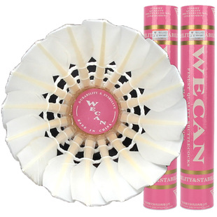 包邮粉威肯羽毛球WECAN稳定耐打王俱乐部用球比赛用打不烂12只装