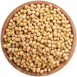 东北农家黄豆新货黄豆颗粒饱满 黄豆打豆浆专用黄豆多规格可选