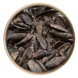 精选 中药材 醋制香附 炒香附子 50g 可打粉 满包邮