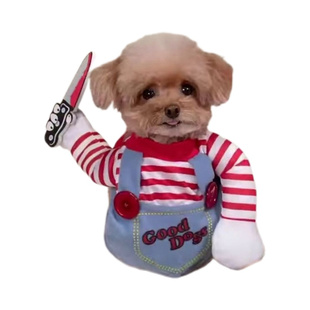 万圣节宠物抖音比熊金毛狗狗猫搞怪博美柴犬柯基泰迪搞笑拿刀衣服