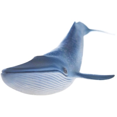 德国Schleich思乐虎鲸