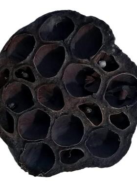 汉染本草植物染荷叶莲蓬莲子壳染