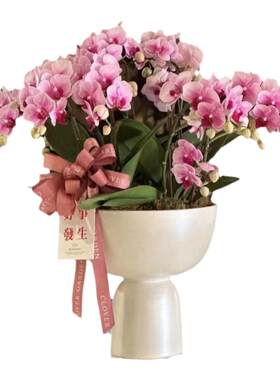 陶瓷北欧简约大惠兰花盆