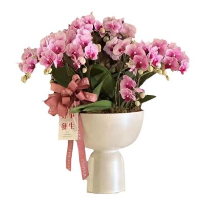 陶瓷北欧简约大惠兰花盆