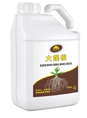 年辉大爆根西瓜用生根壮苗水溶肥