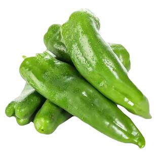 特大牛角椒苗辣椒种孑苗秧高产大果羊角青椒尖椒幼苗四季盆栽菜苗