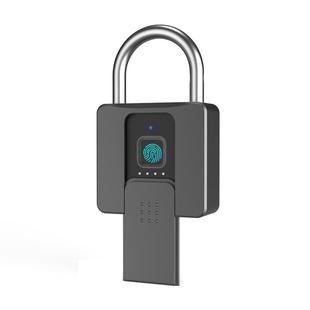 指纹密码挂锁不锈钢户外防水家用防盗锁头远程控制智能电子大门锁