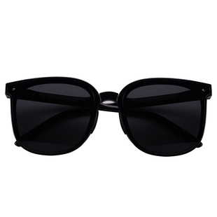 EASEHOLD折叠墨镜轻便小巧防晒紫外线遮光镜化妆镜高级开车太阳镜