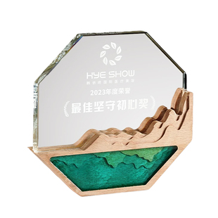 水晶奖杯定制创意高档实木纪念摆件企业退休优秀员工荣誉奖牌订做