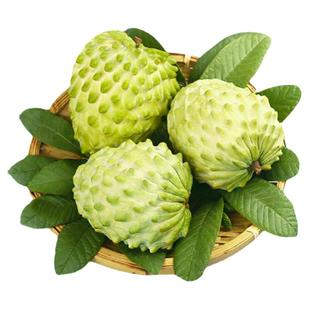 台湾凤梨大目释迦果5斤大果新鲜农产品 现摘番荔枝牛奶释迦摩尼果