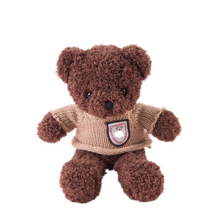 可录音能会说话的ted泰迪熊娃娃小号公仔送女生情侣表白款可定制