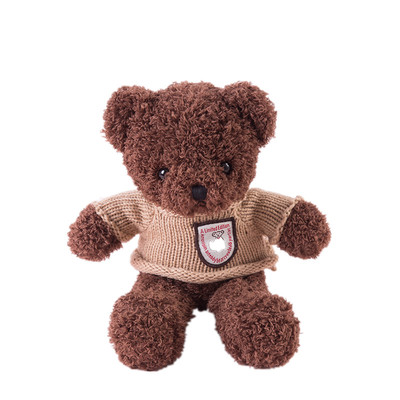 泰迪熊能会ted送女生可定制公仔