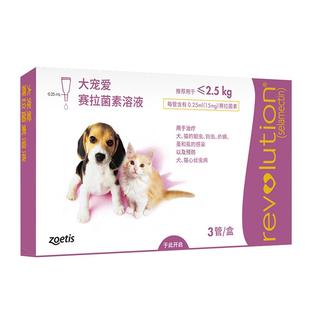 大宠爱体外驱虫猫 驱虫药猫体内外一体 幼犬猫通用塞拉菌素组合装