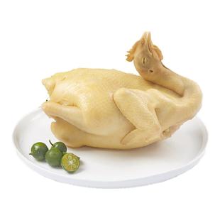 广东正宗白切鸡整只熟食粤菜湛江白斩鸡清远三黄鸡即食真空配蘸料