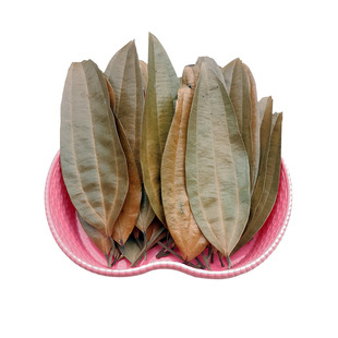 肉桂叶桂树叶大桂叶香料调料大全卤肉料新鲜桂叶罗定肉桂整张