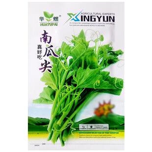 南瓜苗尖种子专吃藤茎嫩叶阳台盆栽庭院农家春四季播蔬菜种植籽孑