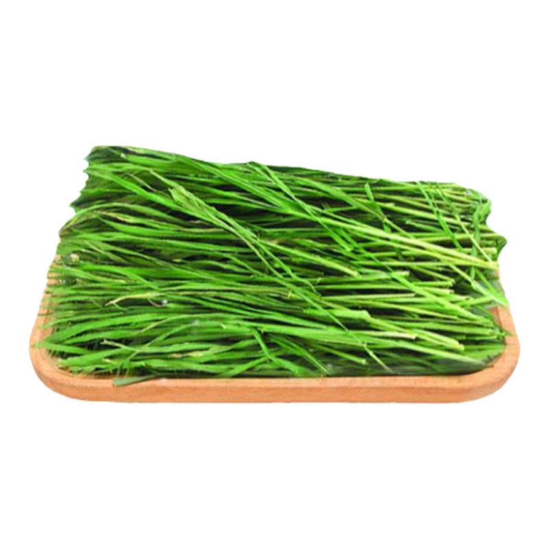 2026年新烘干小麦草干草兔粮豚鼠饲料岷县直销箱装毛重1000g