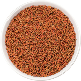 野生楮实子中药材500克/250/100g褚实子渚实子楮实子粉另售威灵仙