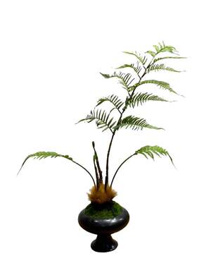 仿真金丝蕨室内景观蕨类植物盆栽