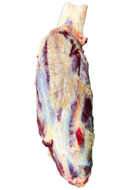 5年新鲜现杀黄牛肉牛肋条牛腱子