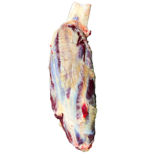 5年现杀黄牛肉新鲜牛肋条牛排骨牛腱子牛腩牛尾巴尾骨