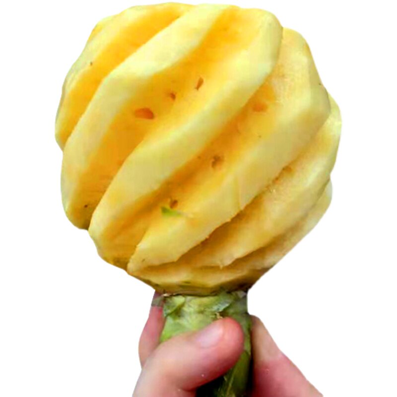 树上熟现摘泰国品种迷你小菠萝脆菠萝