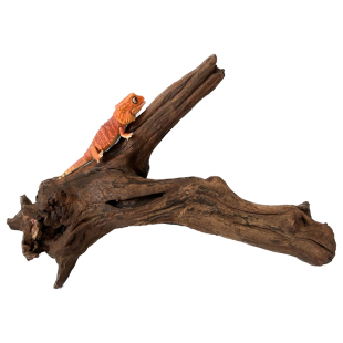 淡水笔记鬃狮蜥蜴爬宠造景木沙漠缸装饰纯天然枯木守宫晒背台躲避