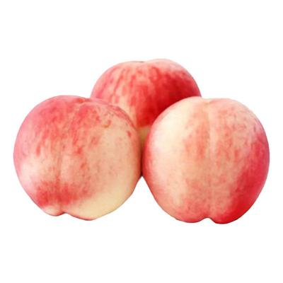 丹东艳红桃河口艳红桃水蜜桃毛桃大燕红桃新鲜水果礼盒包邮