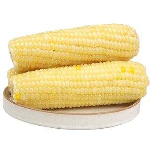 奶熊日记白糯玉米棒新鲜甜糯玉米非即食东北苞米大棒真空装包装袋