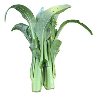 甜菜心种籽多芽多心广东菜心种子阳台盆栽青菜籽种秋冬蔬菜种孑