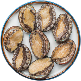 7-10头鲍鱼鲜活 大个特大崂山新鲜 大鲍鱼 海鲜活鲍鱼大鲍鱼