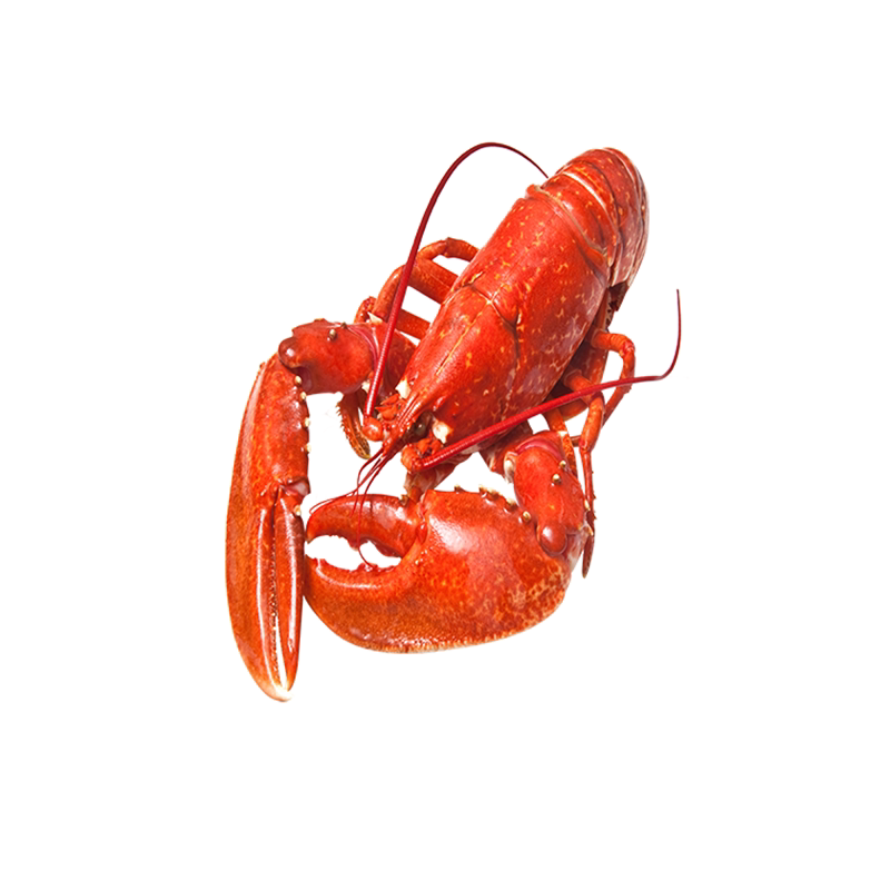 壁画材质表面光滑防水防潮不褪色