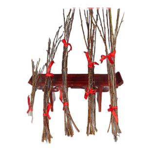 桃枝桃树枝新鲜桃树枝新生的婴儿宝宝出院挂件