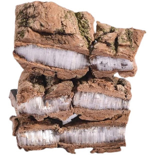 正品老树精品杜仲皮500g野生老杜仲特级新货无硫杜仲皮泡煮酒杜仲