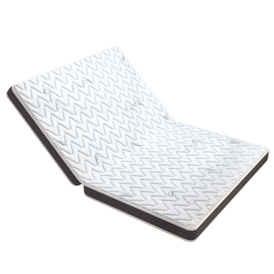 榻榻米床垫定制任意尺寸椰棕乳胶