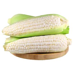 佳糯668甜糯玉米种子白糯特大高产菜种香糯粘玉米种籽孑香糯黏高