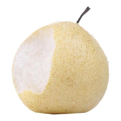 山西隰县野生多汁果园现摘酥梨