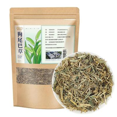 【药房直售】狗尾巴草光明草正品
