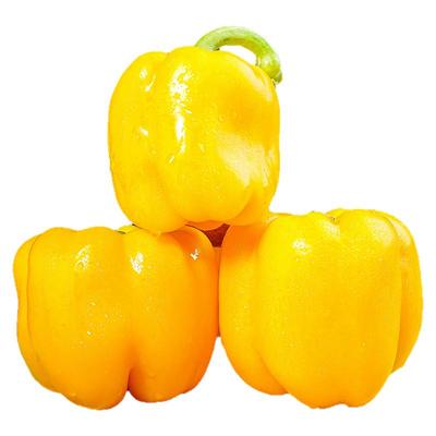 黄色甜椒微甜不辣营养丰富