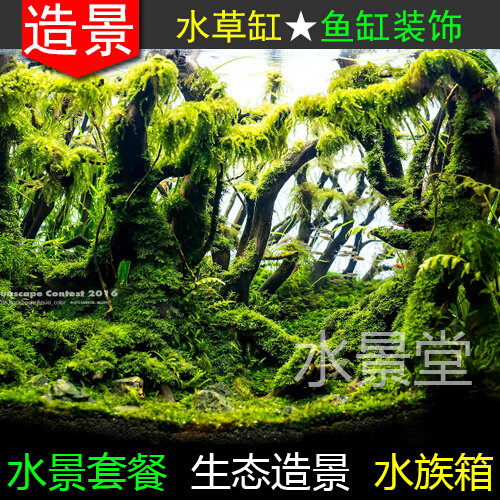 沉木造景套餐 水草缸 圆柱鱼缸 小型鱼缸 鱼缸背景纸 迷你鱼缸