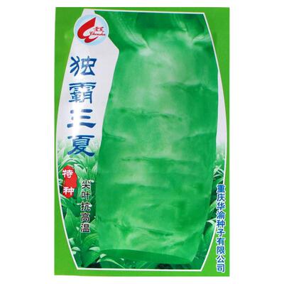 独霸三夏莴笋种子莴苣莴笋种子夏季耐热特抗高温青皮白皮莴笋种孑