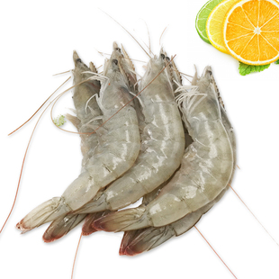 500g 北京闪送 鲜活 海白虾 海鲜 水产 明虾 对虾 非基围虾