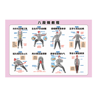 八段锦挂图竖式墙贴纸八锻锦教学挂图挂画贴纸示意图健身气功教学