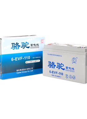 【官方推荐】电动四轮车EVF电瓶