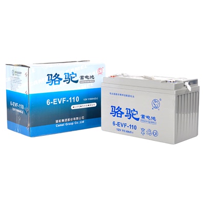 【官方推荐】电动四轮车EVF电瓶