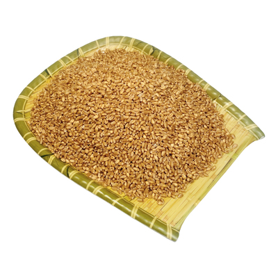 当季新小麦粒麦种鸟粮饲料10斤