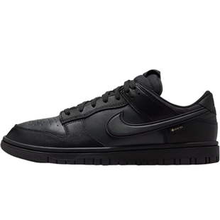 滔搏NIKE耐克男鞋DUNK LOW GTX轻便板鞋运动休闲鞋HQ2053-001