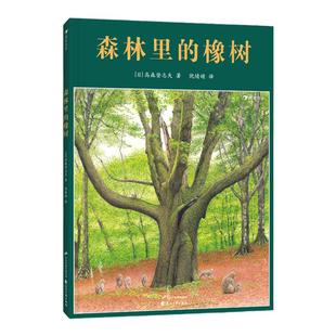后浪正版 森林里的橡树 风景画家高森登志夫作品 生命教育自然绘本 3-6岁图画故事 浪花朵朵童书